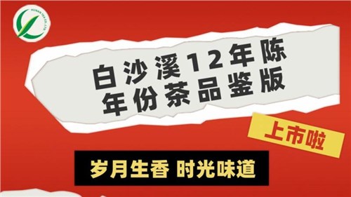 歲月生香 時光味道丨集團白沙溪12年陳年份茶品鑒版上市